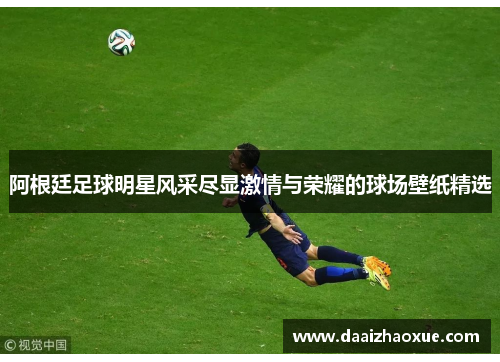 阿根廷足球明星风采尽显激情与荣耀的球场壁纸精选