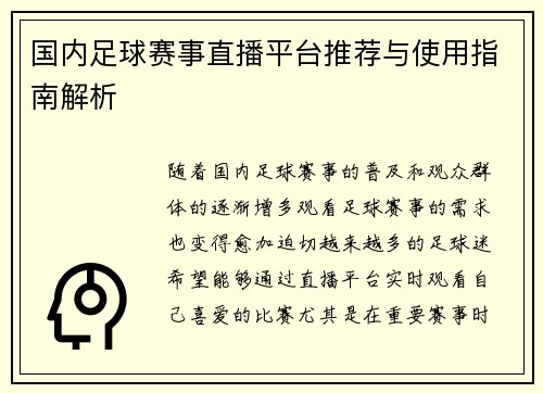 国内足球赛事直播平台推荐与使用指南解析